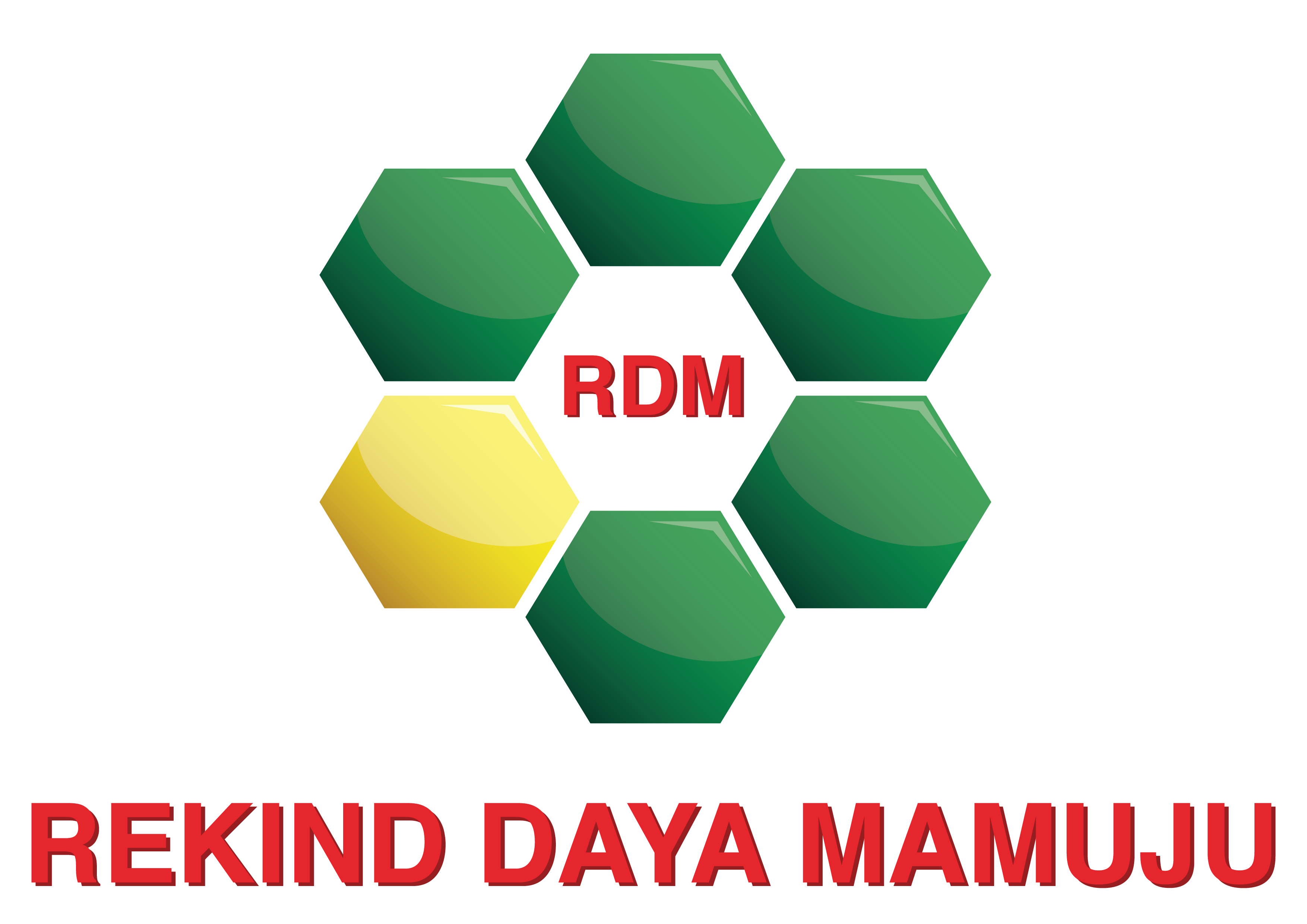 Logo RDM